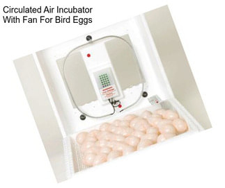 Circulated Air Incubator With Fan For Bird Eggs