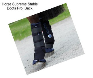 Horze Supreme Stable Boots Pro, Back