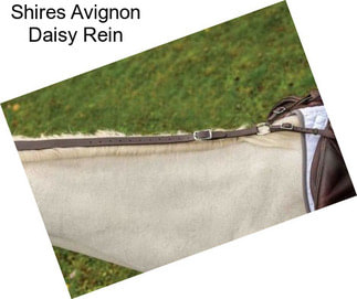 Shires Avignon Daisy Rein