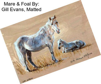 Mare & Foal By: Gill Evans, Matted