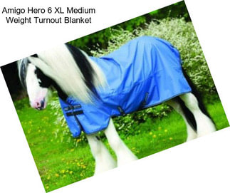 Amigo Hero 6 XL Medium Weight Turnout Blanket