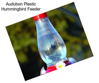 Audubon Plastic Hummingbird Feeder