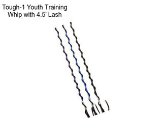 Tough-1 Youth Training Whip with 4.5\' Lash