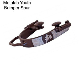 Metalab Youth Bumper Spur