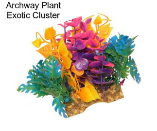 Archway Plant Exotic Cluster