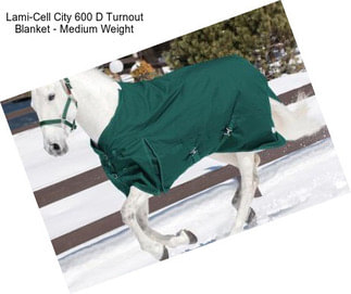 Lami-Cell City 600 D Turnout Blanket - Medium Weight