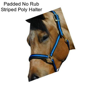 Padded No Rub Striped Poly Halter