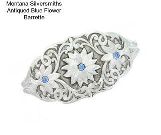 Montana Silversmiths Antiqued Blue Flower Barrette