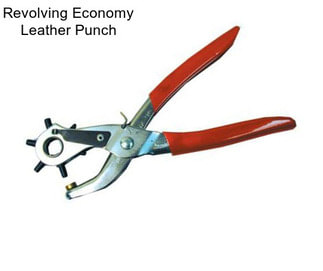 Revolving Economy Leather Punch