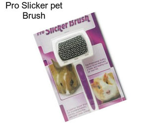 Pro Slicker pet Brush