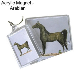 Acrylic Magnet - Arabian