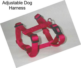 Adjustable Dog Harness