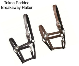 Tekna Padded Breakaway Halter