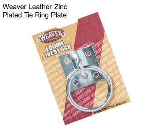 Weaver Leather Zinc Plated Tie Ring Plate