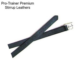 Pro-Trainer Premium Stirrup Leathers