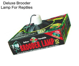 Deluxe Brooder Lamp For Reptiles