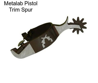 Metalab Pistol Trim Spur