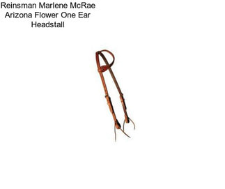 Reinsman Marlene McRae Arizona Flower One Ear Headstall