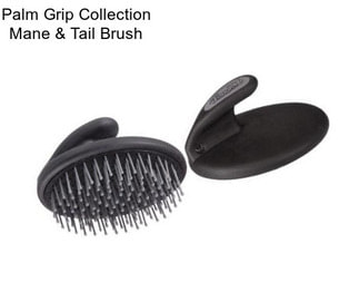 Palm Grip Collection Mane & Tail Brush