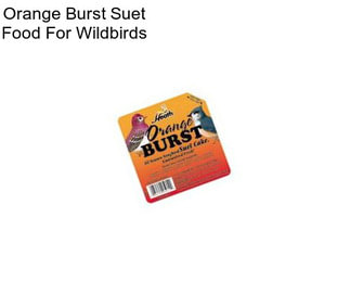 Orange Burst Suet Food For Wildbirds