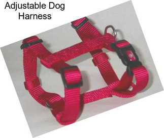 Adjustable Dog Harness