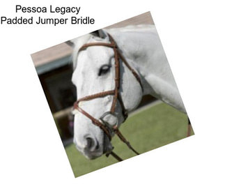 Pessoa Legacy Padded Jumper Bridle