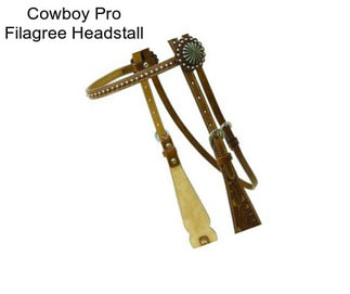 Cowboy Pro Filagree Headstall