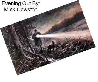 Evening Out By: Mick Cawston