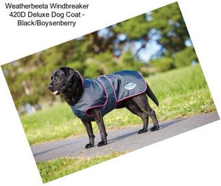 Weatherbeeta Windbreaker 420D Deluxe Dog Coat - Black/Boysenberry