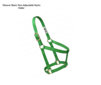 Weaver Basic Non-Adjustable Nylon Halter