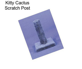 Kitty Cactus Scratch Post