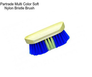 Partrade Multi Color Soft Nylon Bristle Brush