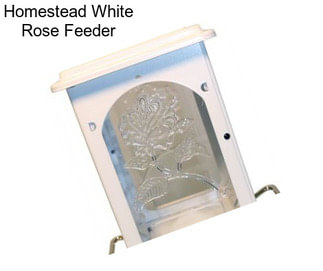 Homestead White Rose Feeder