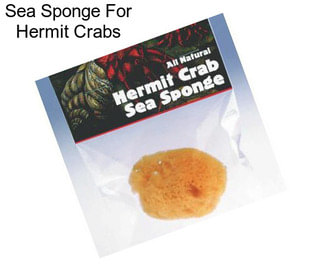 Sea Sponge For Hermit Crabs