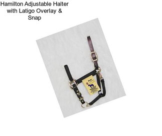 Hamilton Adjustable Halter with Latigo Overlay & Snap