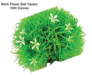 Biorb Flower Ball Topiary With Daisies