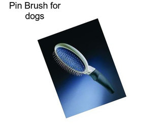 Pin Brush for dogs