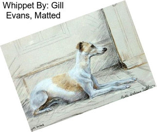 Whippet By: Gill Evans, Matted