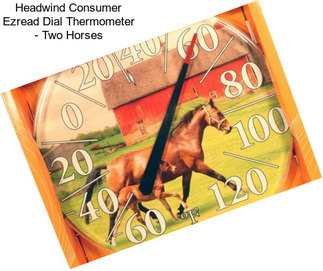 Headwind Consumer Ezread Dial Thermometer - Two Horses