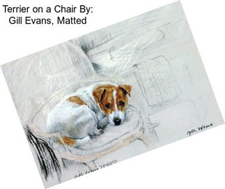 Terrier on a Chair By: Gill Evans, Matted