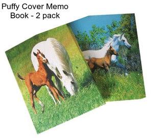 Puffy Cover Memo Book - 2 pack