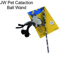 JW Pet Cataction Ball Wand