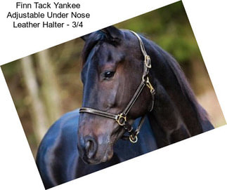 Finn Tack Yankee Adjustable Under Nose Leather Halter - 3/4\