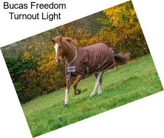 Bucas Freedom Turnout Light