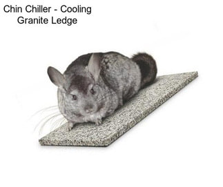 Chin Chiller - Cooling Granite Ledge