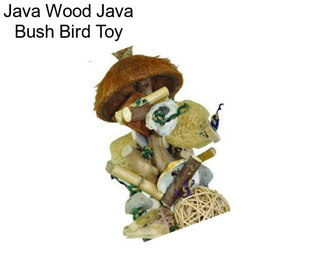 Java Wood Java Bush Bird Toy