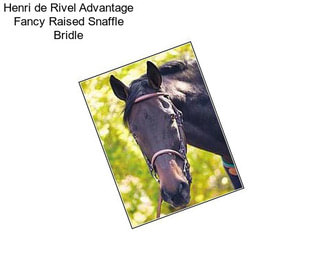 Henri de Rivel Advantage Fancy Raised Snaffle Bridle