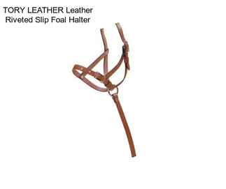 TORY LEATHER Leather Riveted Slip Foal Halter