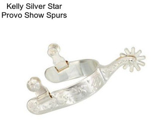 Kelly Silver Star Provo Show Spurs