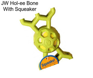 JW Hol-ee Bone With Squeaker